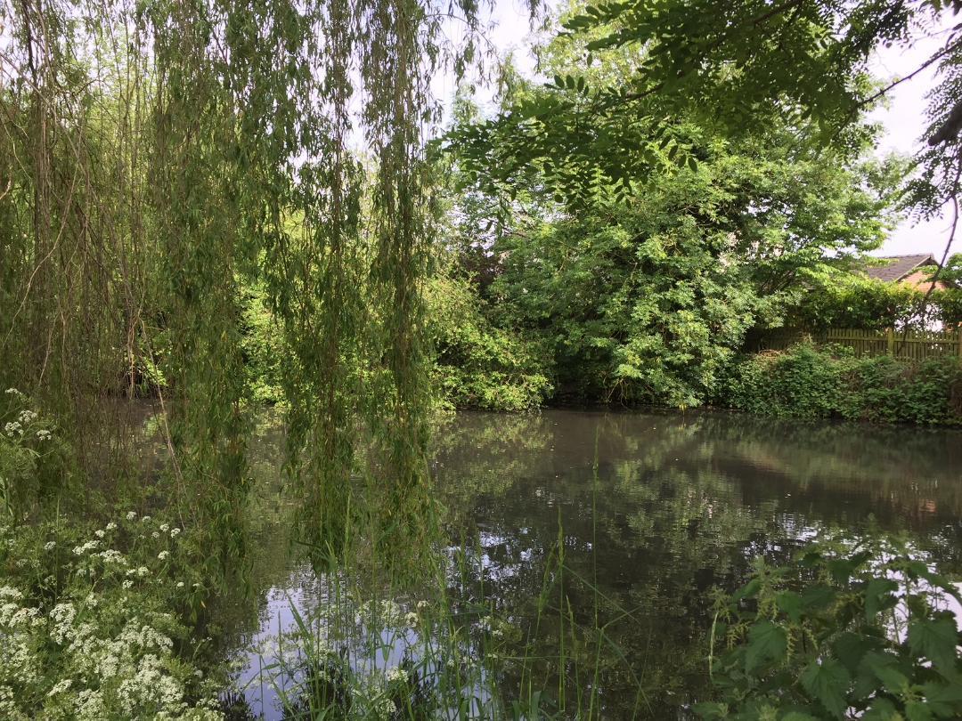 فندق ألسيجيرفي  The Old Mill المظهر الخارجي الصورة